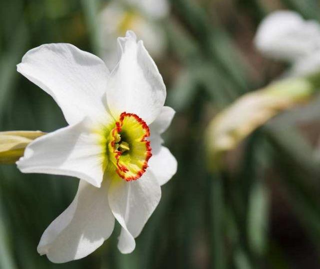 真正有故事的人，往往是一個很有味道的人