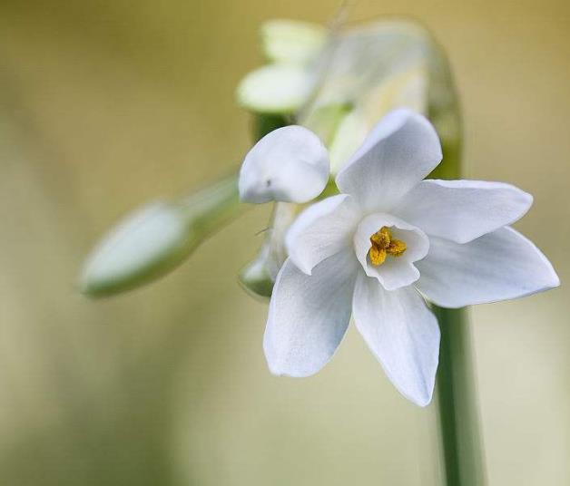 真正有故事的人，往往是一個很有味道的人