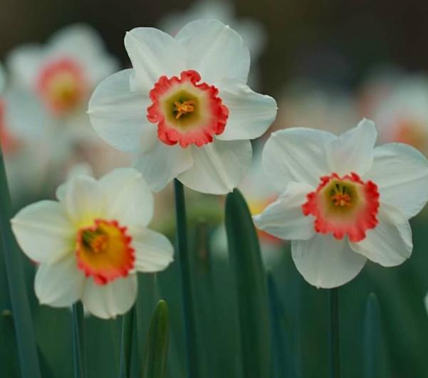 真正有故事的人，往往是一個很有味道的人