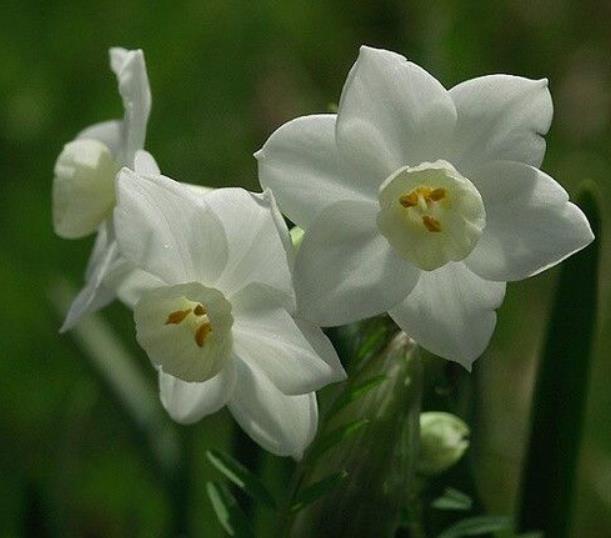 真正有故事的人，往往是一個很有味道的人