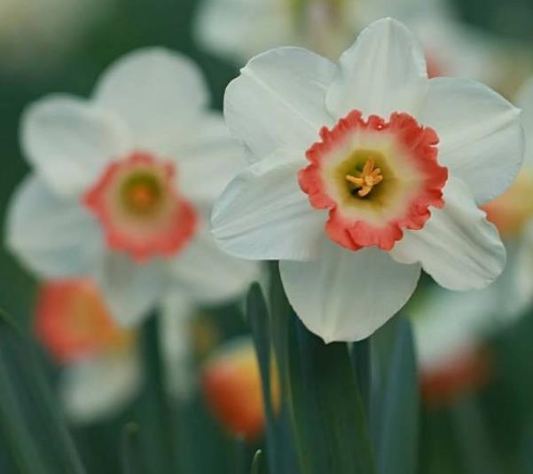 真正有故事的人，往往是一個很有味道的人