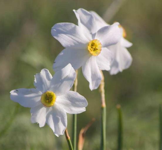 真正有故事的人，往往是一個很有味道的人