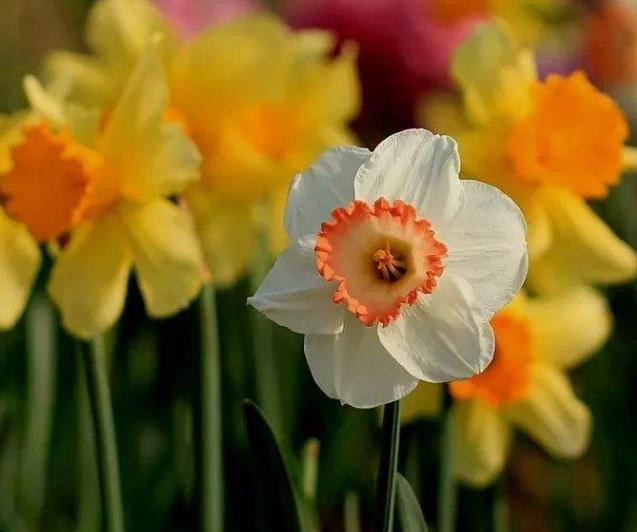 真正有故事的人，往往是一個很有味道的人