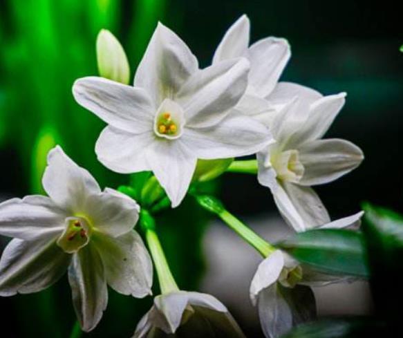 真正有故事的人，往往是一個很有味道的人