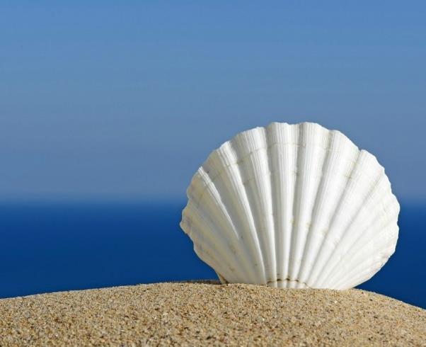 遇到挫折的時候，我們要盡量做一個寡言的人