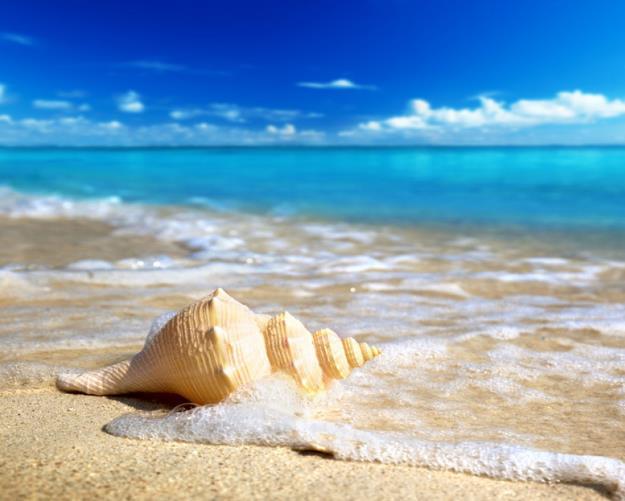 遇到挫折的時候，我們要盡量做一個寡言的人