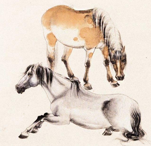 這2個生肖做夫妻，三觀能合，感情圓滿，天生就是一家人！