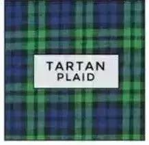 格紋大衣再火70年？ 100套美搭時髦炸了！