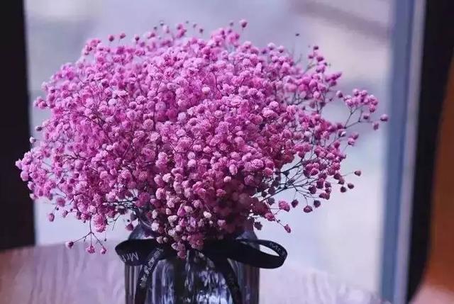 無需取悅別人，用心做好自己