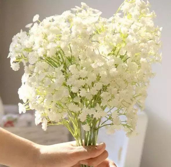 無需取悅別人，用心做好自己