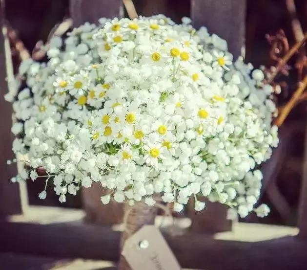 無需取悅別人，用心做好自己