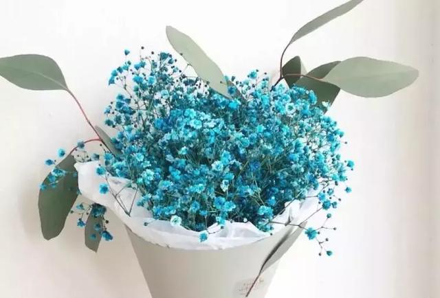 無需取悅別人，用心做好自己