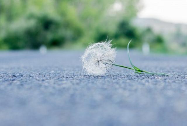 別不甘，主動離開便是消失的星座