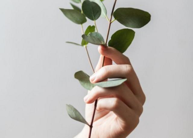 別不甘，主動離開便是消失的星座