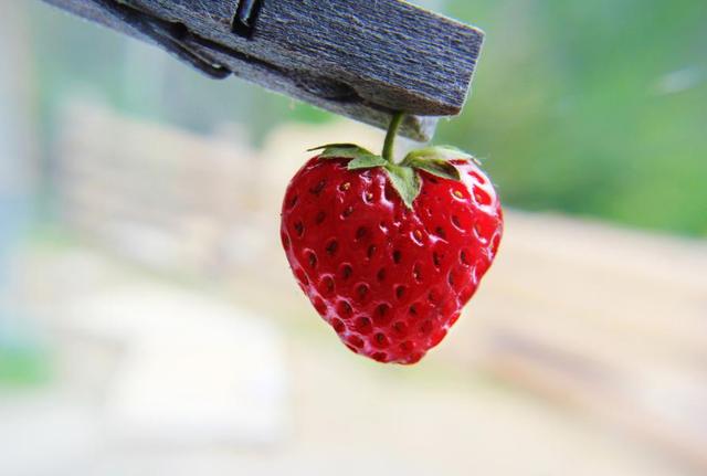 冤冤相報，容易陷入感情糾紛的星座