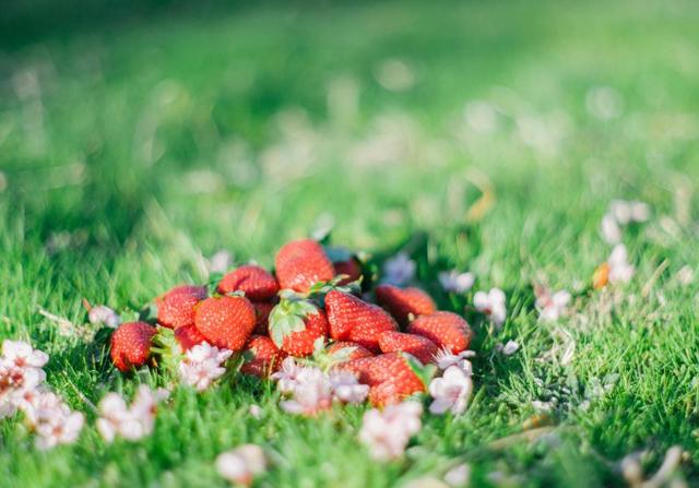 冤冤相報，容易陷入感情糾紛的星座