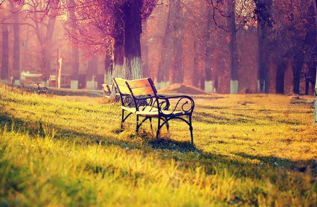 冤冤相報，容易陷入感情糾紛的星座