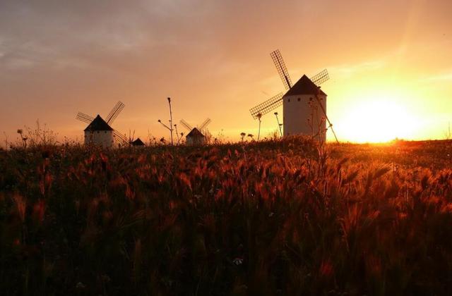 冤冤相報，容易陷入感情糾紛的星座