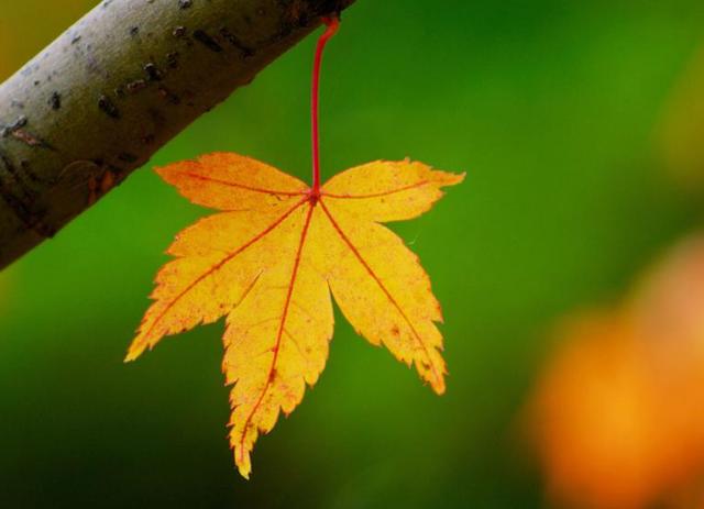 冤冤相報，容易陷入感情糾紛的星座