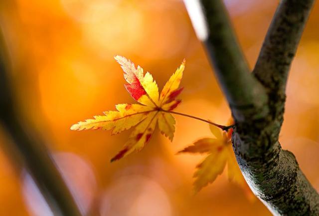 冤冤相報，容易陷入感情糾紛的星座