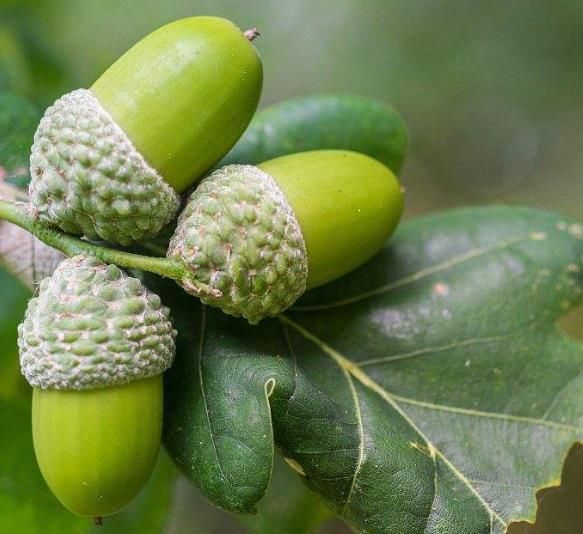 做人要懂得：在這三個方面“軟”了，你的人生就硬了