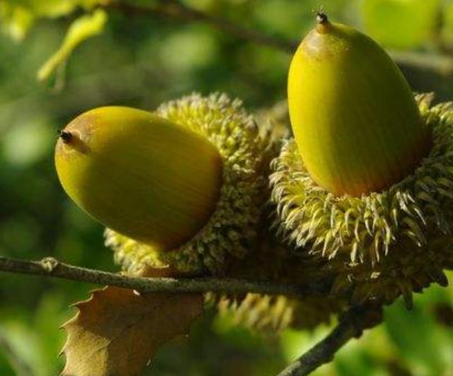 做人要懂得：在這三個方面“軟”了，你的人生就硬了