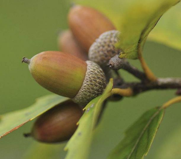 做人要懂得：在這三個方面“軟”了，你的人生就硬了