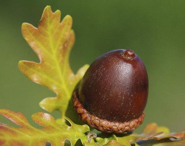 做人要懂得：在這三個方面“軟”了，你的人生就硬了