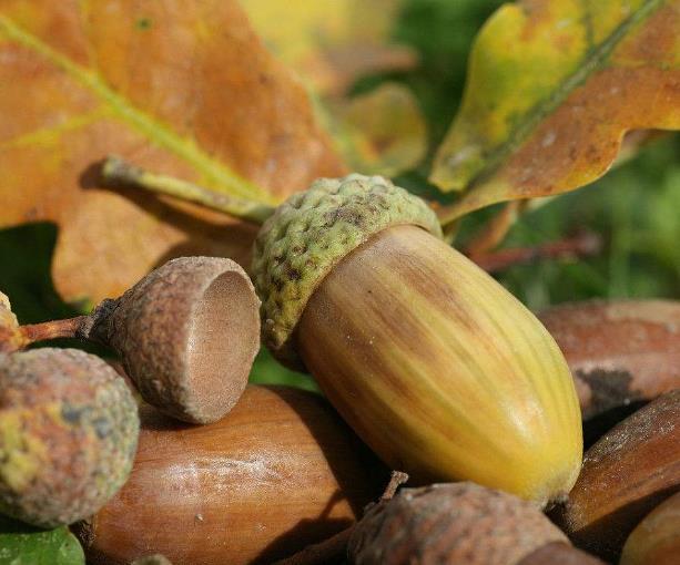 做人要懂得：在這三個方面“軟”了，你的人生就硬了