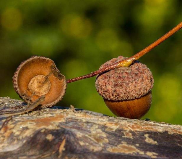 做人要懂得：在這三個方面“軟”了，你的人生就硬了