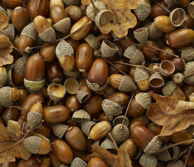 做人要懂得：在這三個方面“軟”了，你的人生就硬了