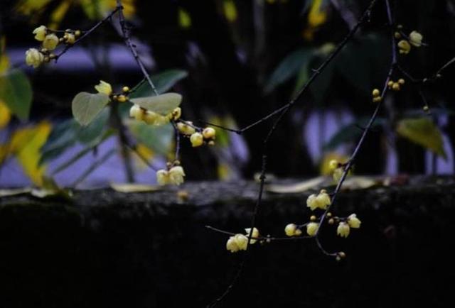 生活百般滋味，最終我們都要一一品味