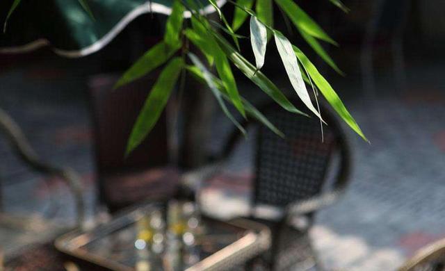 生活百般滋味，最終我們都要一一品味