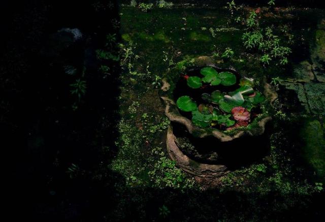 生活百般滋味，最終我們都要一一品味