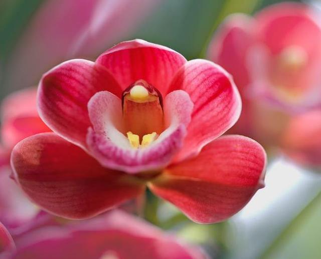 人到六十，要學會“賤”一點