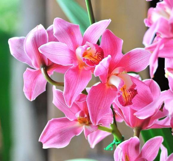 人到六十，要學會“賤”一點