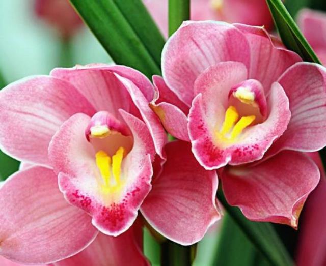 人到六十，要學會“賤”一點