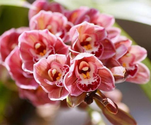 人到六十，要學會“賤”一點