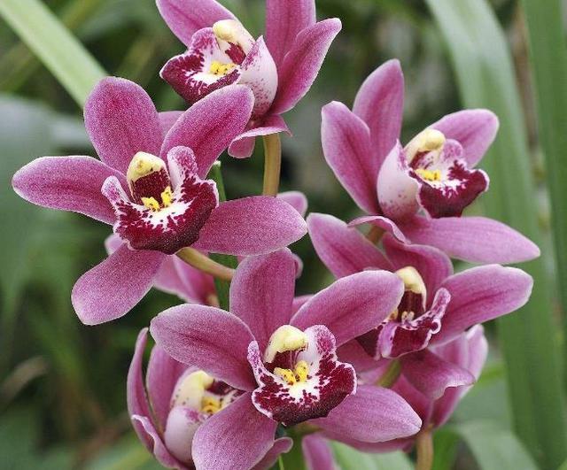 人到六十，要學會“賤”一點