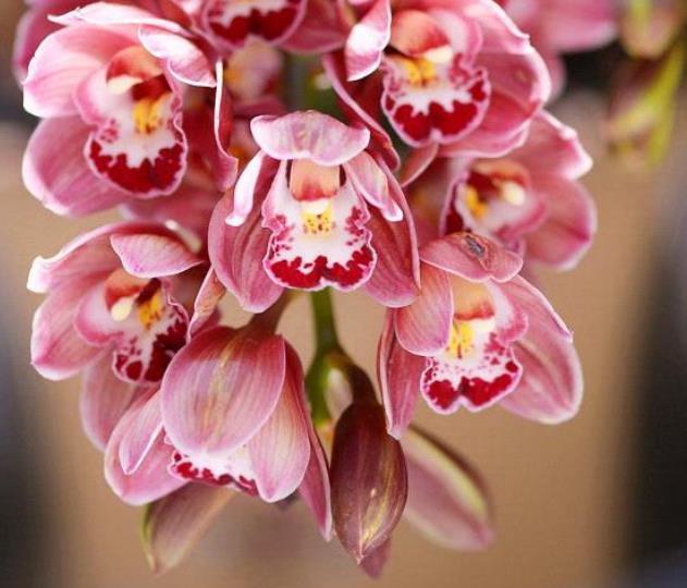 人到六十，要學會“賤”一點