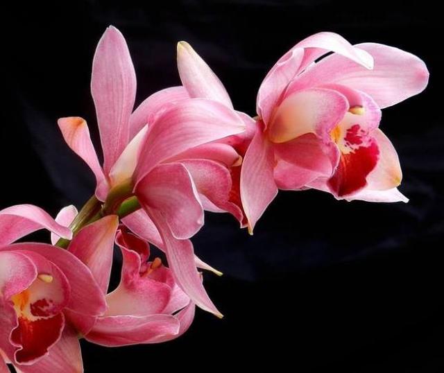 人到六十，要學會“賤”一點