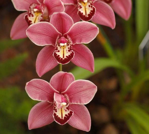 人到六十，要學會“賤”一點