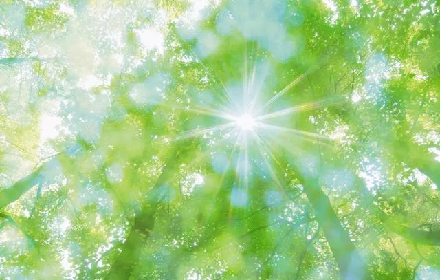 遇人無數，知己最真！