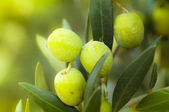 沒有錢的時候，別去管這四件事，否則就會有麻煩