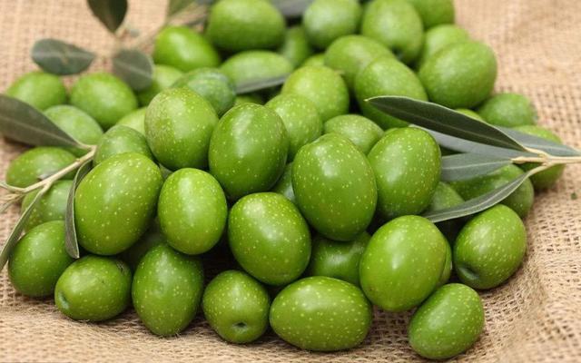 沒有錢的時候，別去管這四件事，否則就會有麻煩