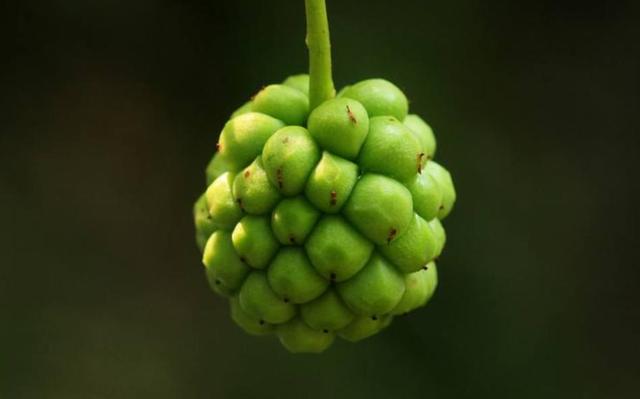 人到五十，要記住：有淚，偷偷流，有苦，默默受