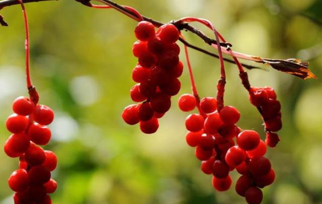 人到五十，要記住：有淚，偷偷流，有苦，默默受