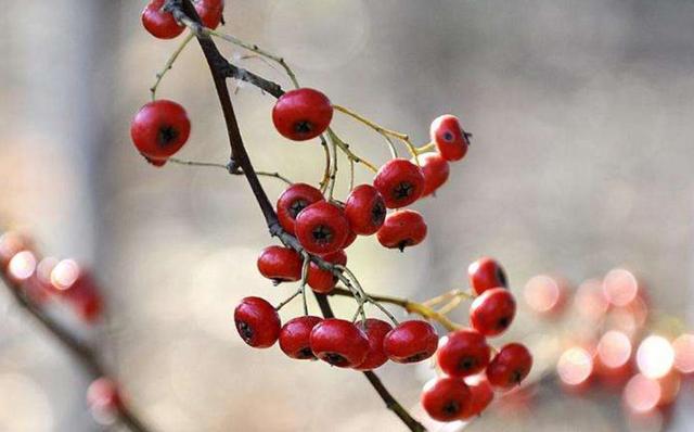 人到五十，要記住：有淚，偷偷流，有苦，默默受