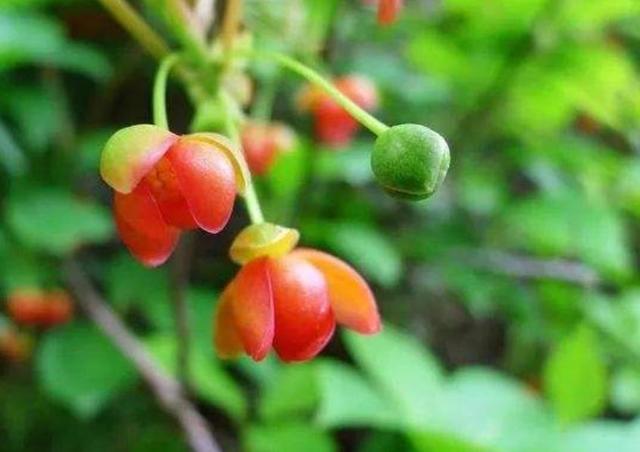 人到五十，要記住：有淚，偷偷流，有苦，默默受