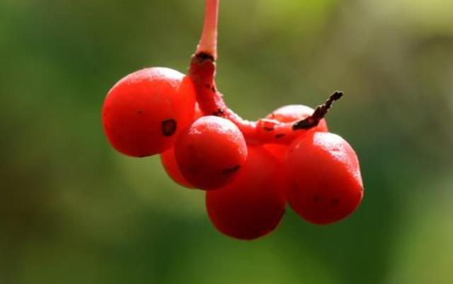 人到五十，要記住：有淚，偷偷流，有苦，默默受
